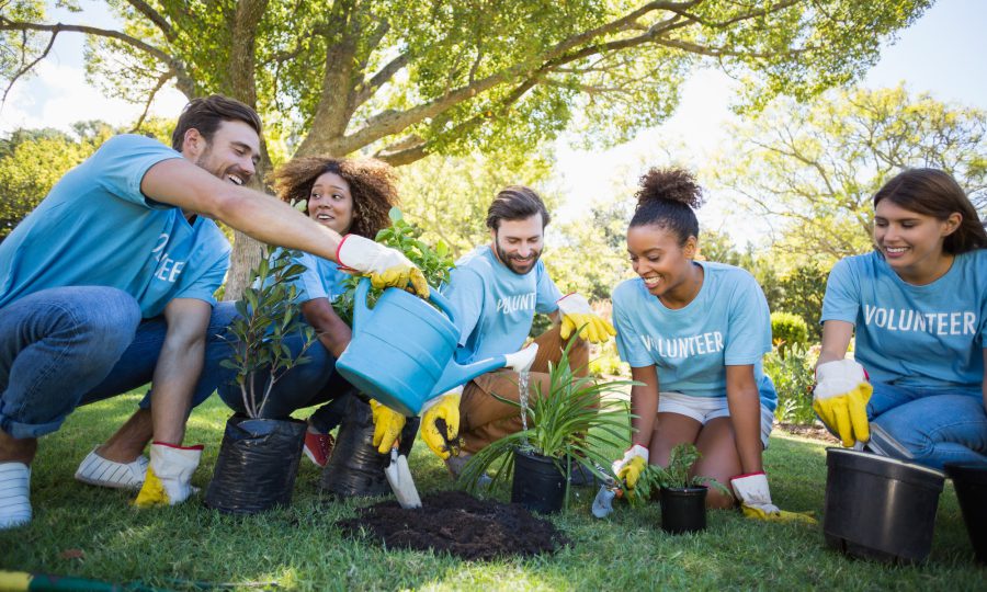 group-of-volunteer-planting.jpg